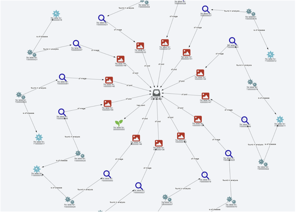 Knowledge Graph Exploration